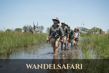 Botswana wandelsafari