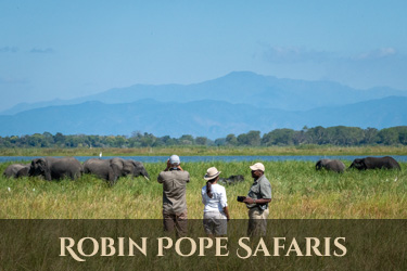 Robin Pope Safaris