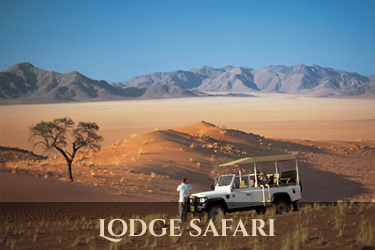 lodge safari