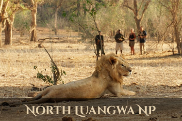 North Luangwa