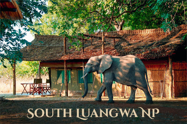 South Luangwa