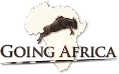 www.afrikasafaris.nl